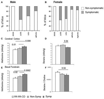 Prenatal Nutritional Intervention Reduces Autistic-Like Behavior Rates Among Mthfr-Deficient Mice